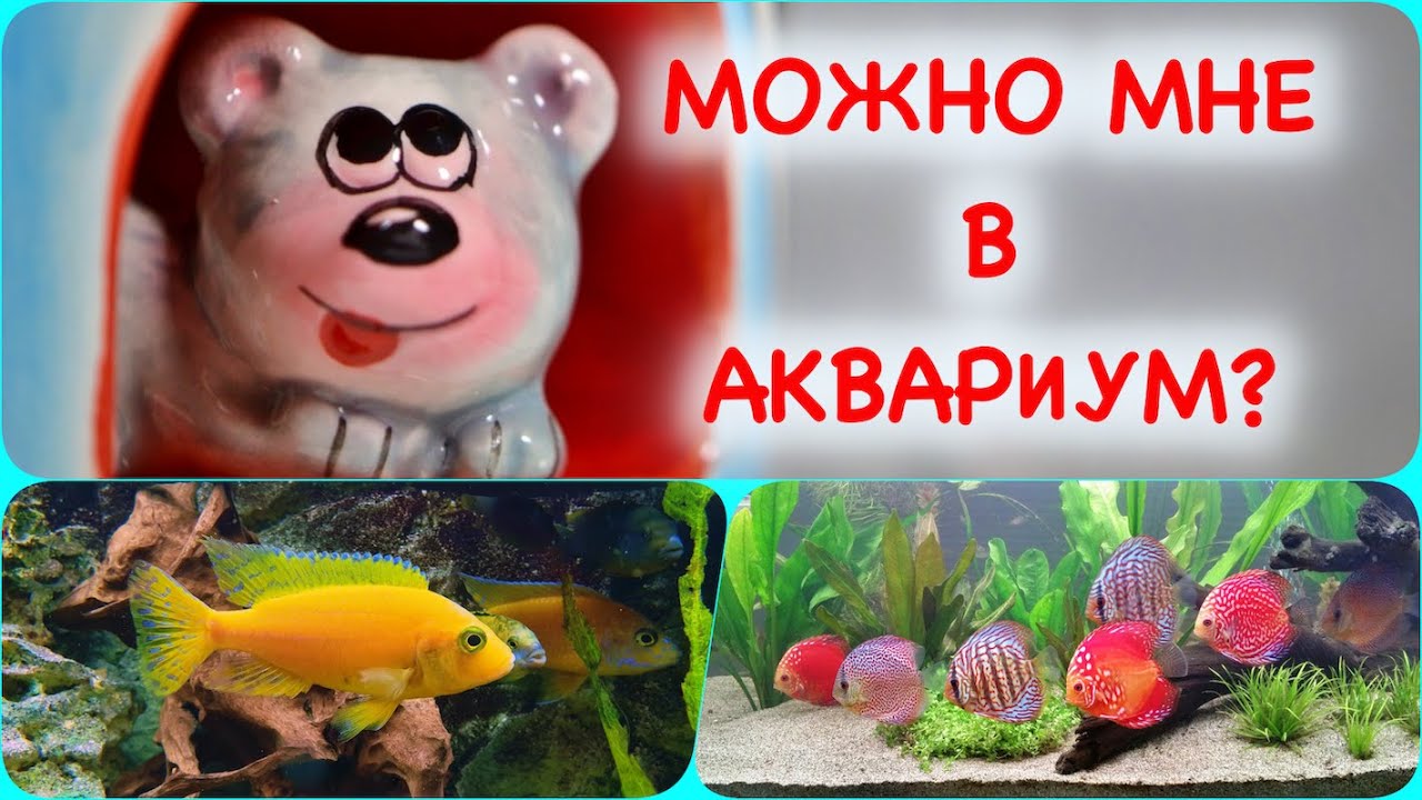 Что нельзя в помещать аквариум