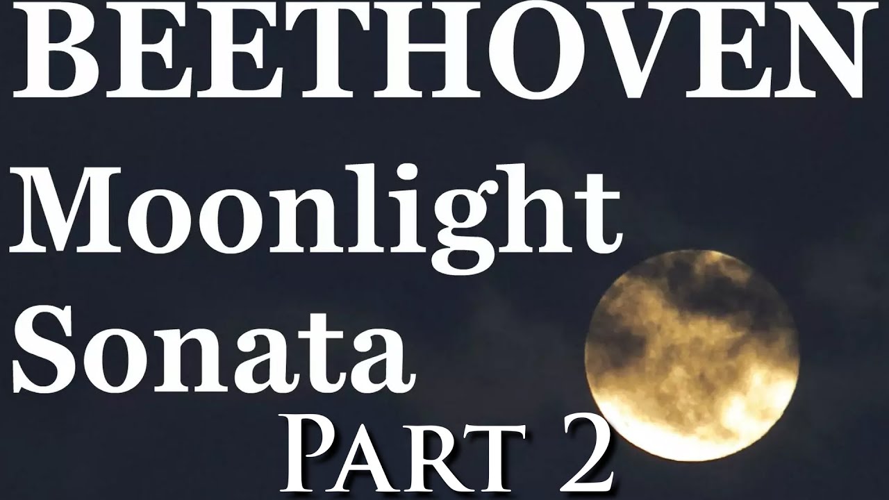 Piano Lesson - Moonlight Sonata Part 2