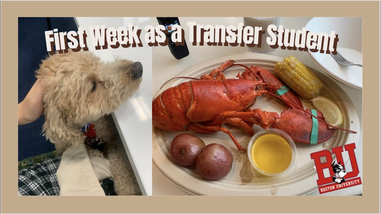 Being a Transfer, Computer Science Student At BU | Boston 🦞