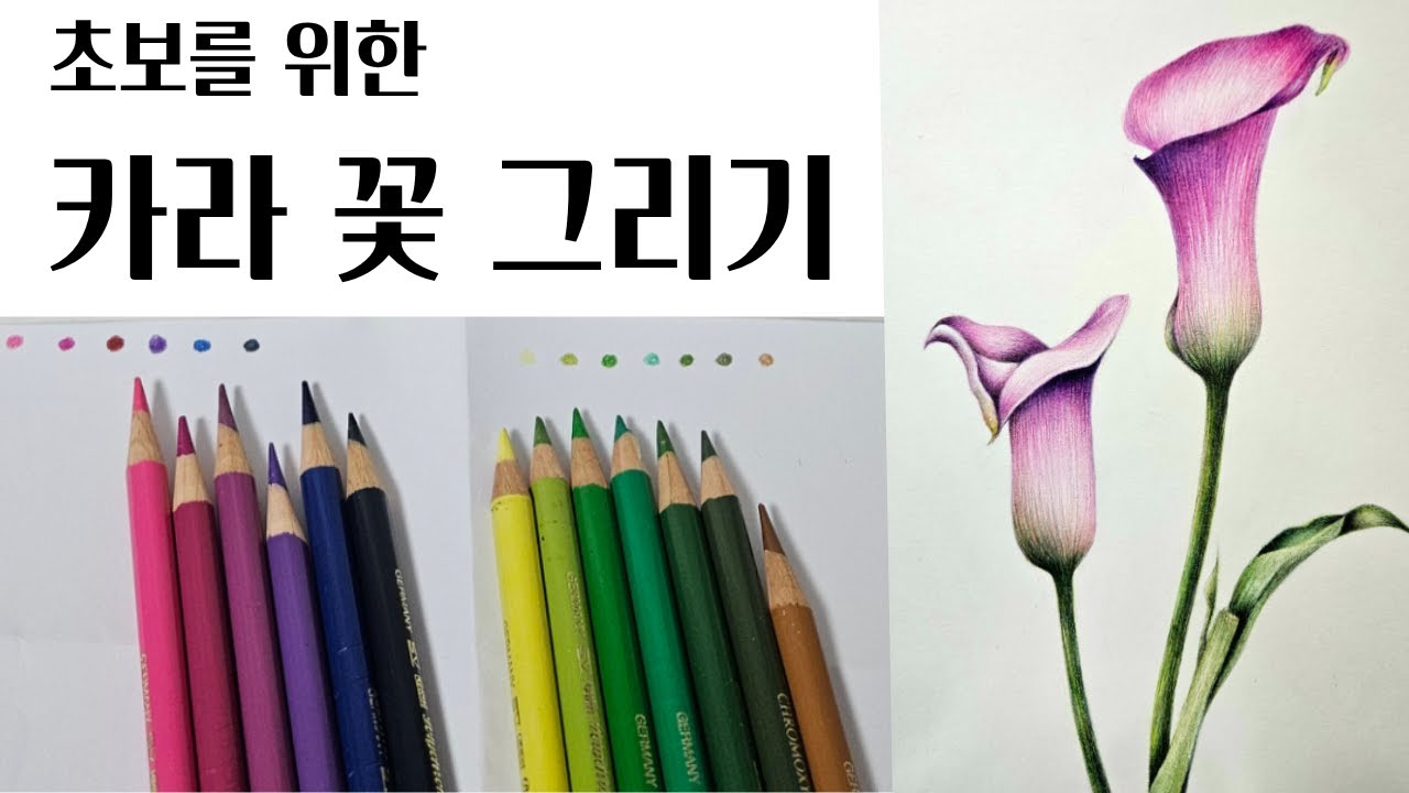 [보태니컬아트]보라색 카라 꽃 그리기 #색연필꽃그림 #flowerdrawing