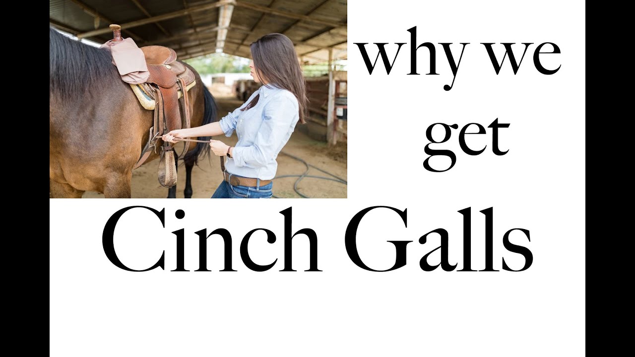 The Truth Behind Cinch Galls
