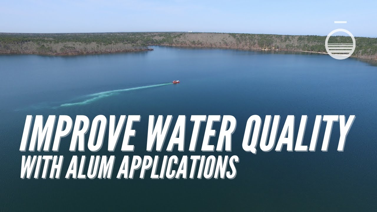 Improve Water Quality with an Alum Treatment
