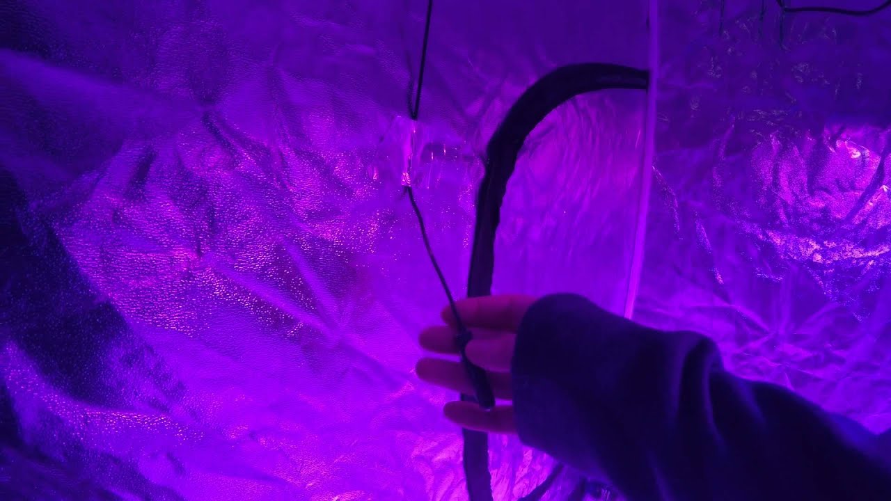 Grow tent Heat tips