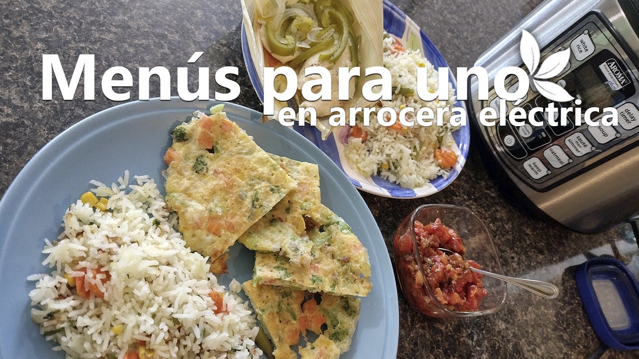 Mesa para uno: arroz, pescado, verduras | En arrocera eléctrica