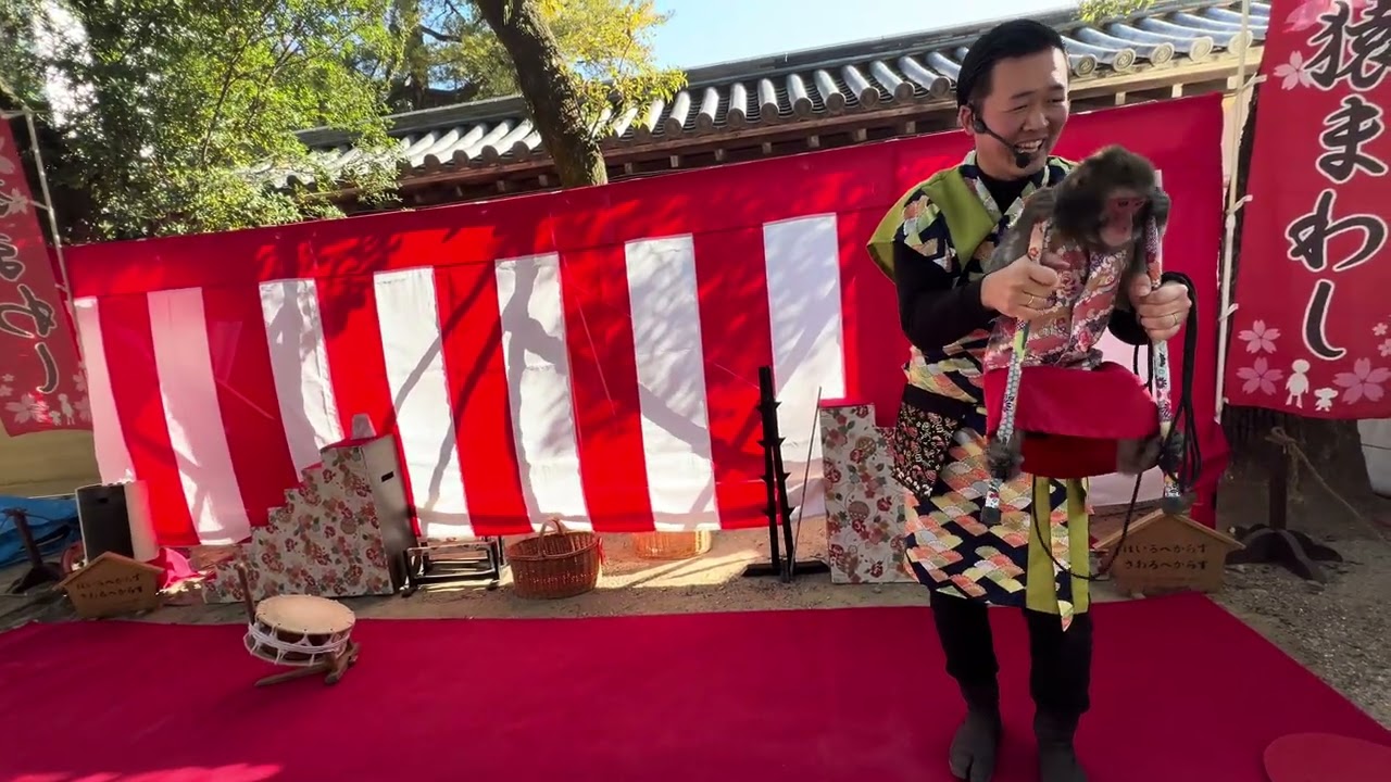 西宮戎 猿回し