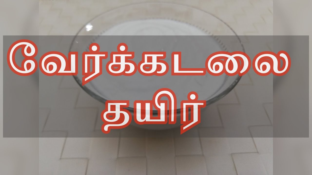 வேர்க்கடலை தயிர்|Peanut Curd|How to prepare vegan curd|Homemade Peanut Yogurt|Healthy Curd Recipe