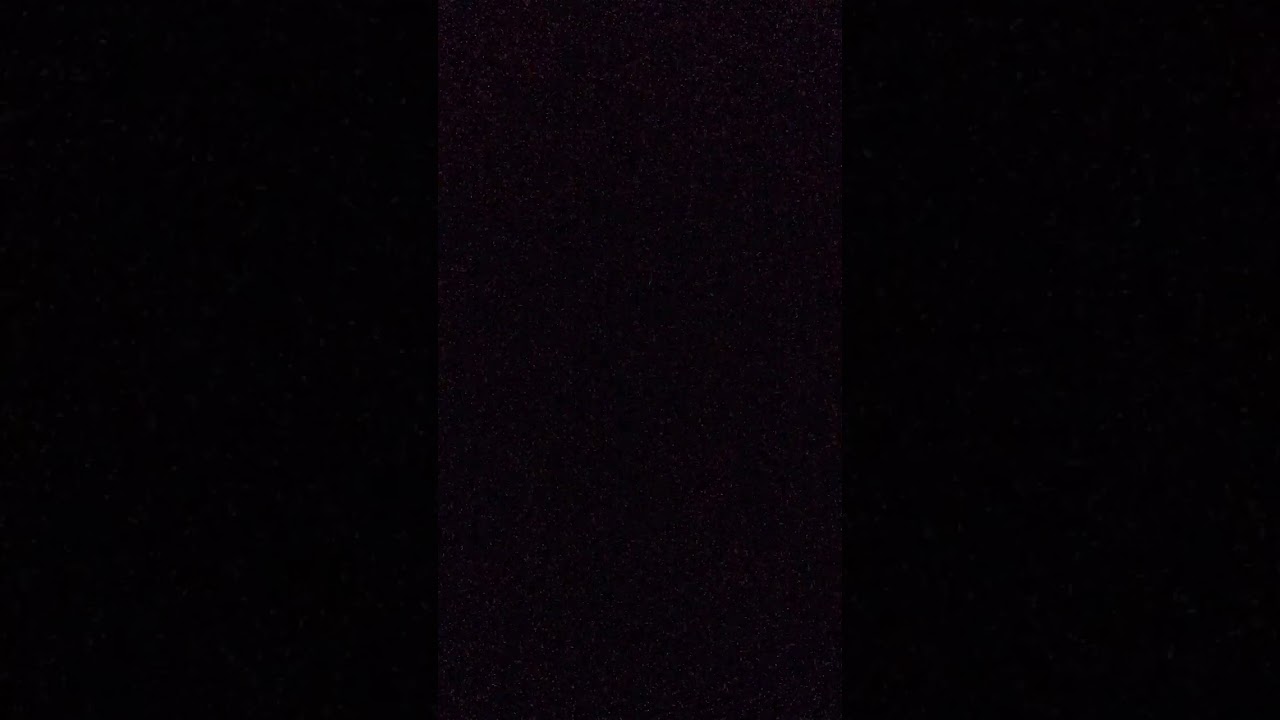 🎵🎶🎼②