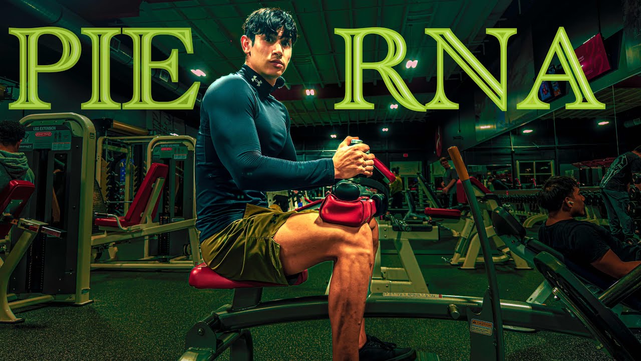Los MEJORES ejercicios para PIERNAS
