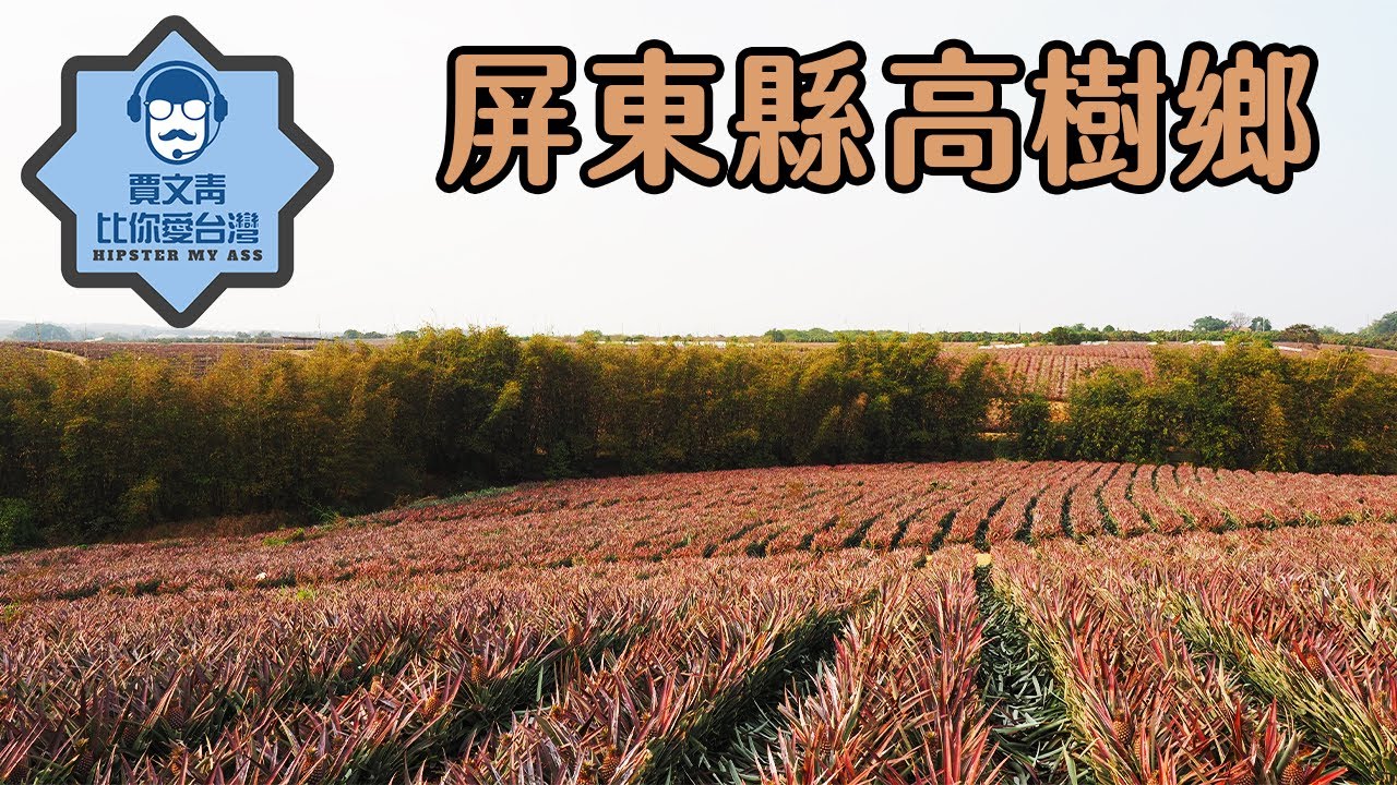 《賈文青比你愛台灣》屏東縣高樹鄉：當然鳳梨是一定要吃爆的啦，還有適合趁打折去享受美景的大路觀主題樂園！