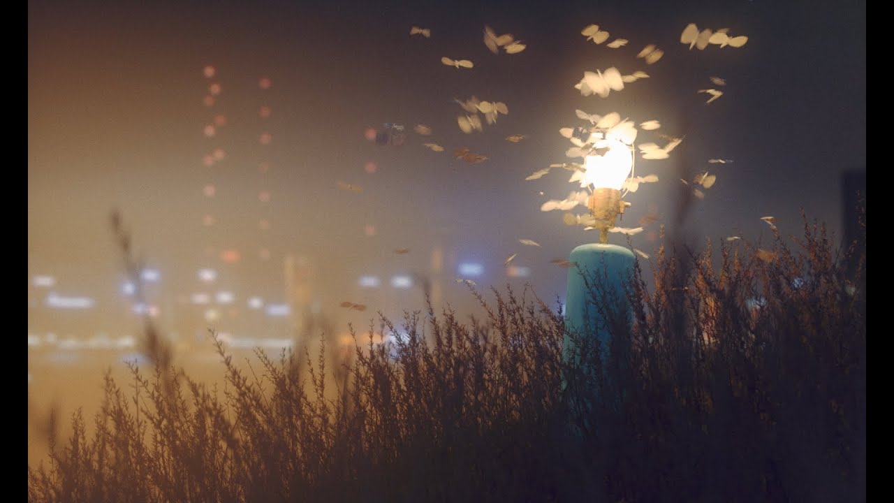 Анимация мотыльков в Blender &mdash; Ленивые уроки