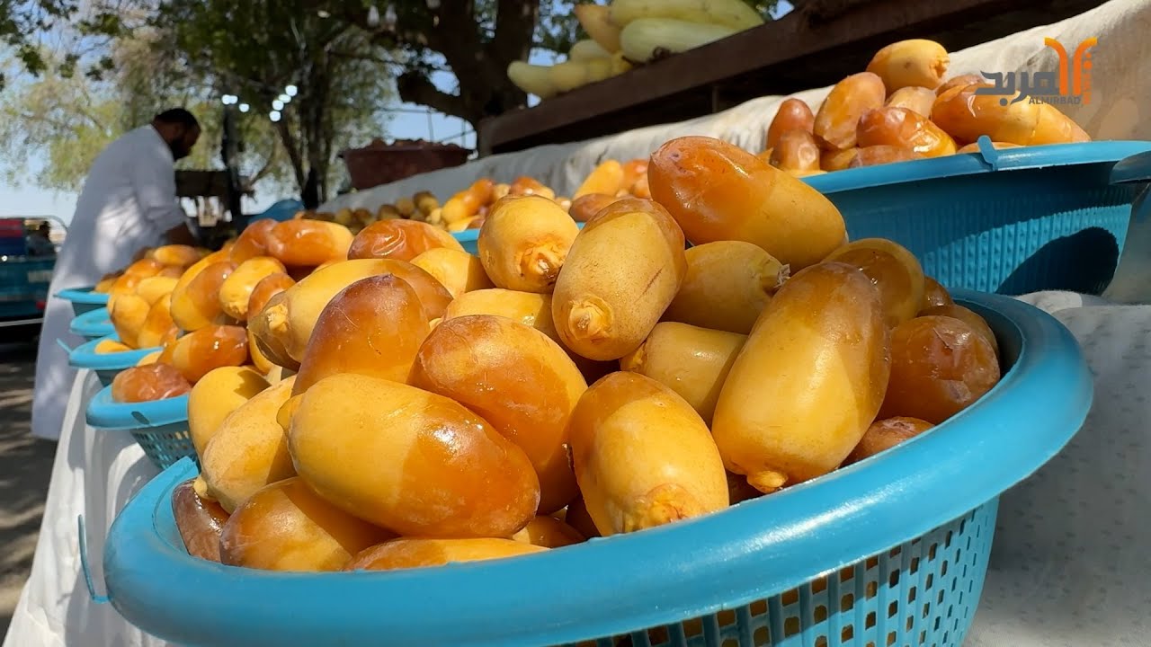 مكتوم وحلوة حجي عباس وأخت الفحل .. سوق الرطب يزدهر في السماوة #المربد