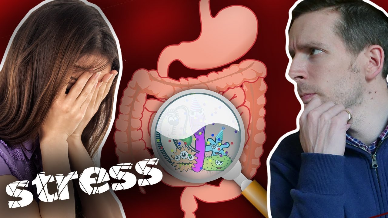 How Stress Wreaks Havoc on Your Gut (GERD/Reflux/Bloating/Heart-Burn)