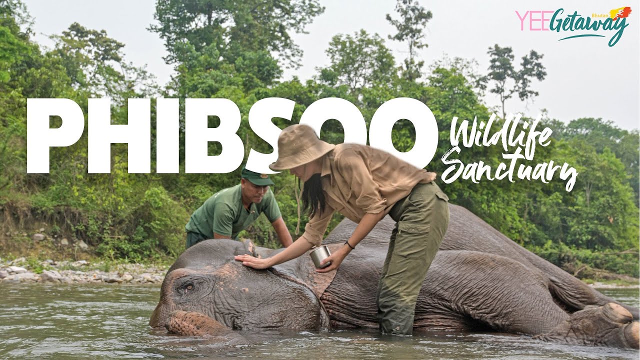 Phibsoo Wildlife Sanctuary in Bhutan