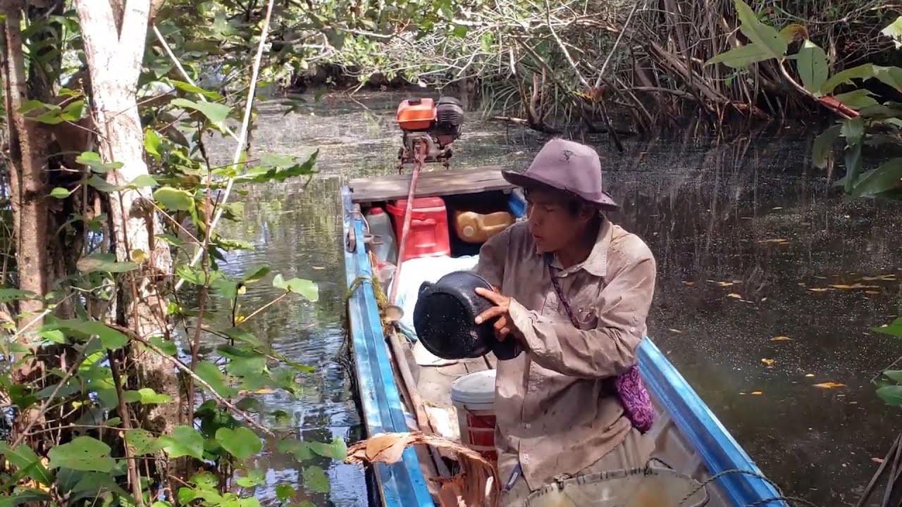 ខ្យល់បក់រំភើយល្ហែល្ហើយតាមកោះនានា ចូលព្រៃជាមួយភរិយា ជួបឃ្មុំដំរីធំ TODAY WITH MY WIFE IN THE WILD 4K
