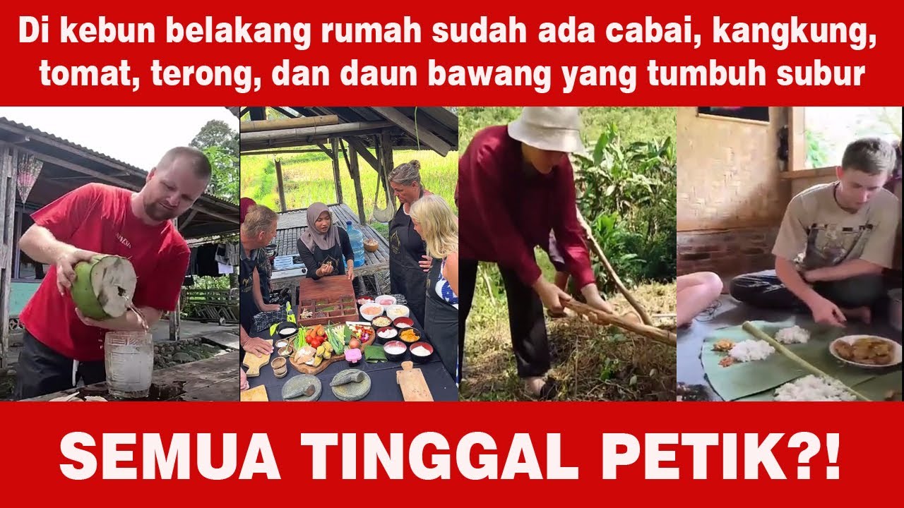 Bang Bule Di Australia Mahal, di Sini Tinggal Ambil diKebun Tanpa Mengeluarkan Biaya
