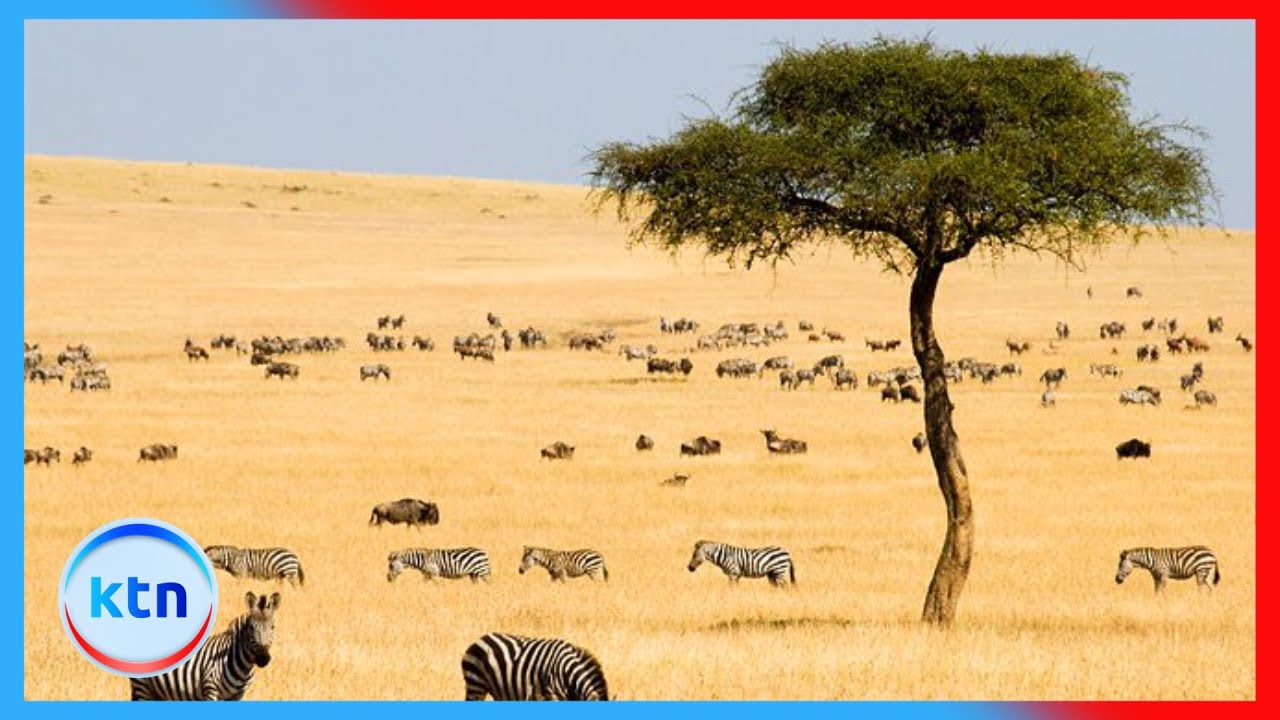 Tourism regulatory authority cancels operating license for for tour operators over non-compliance