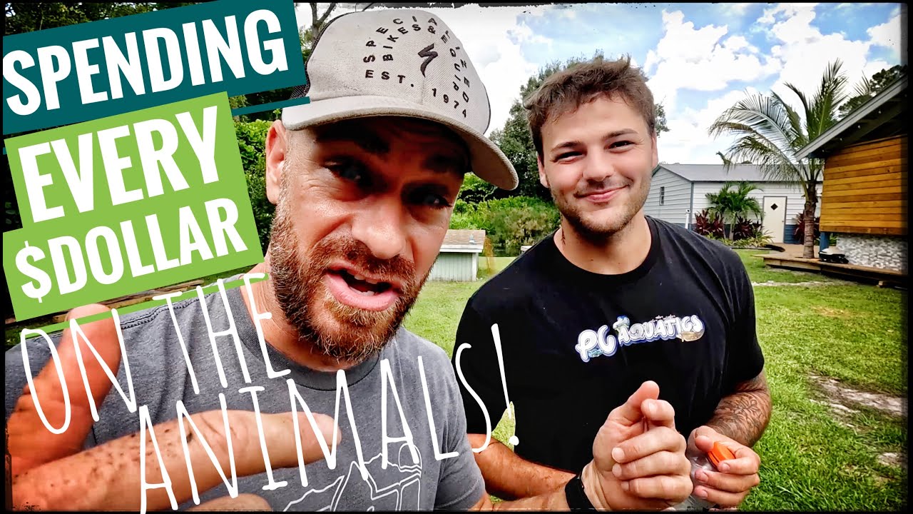 Paul Cuffaro Keeps Building!