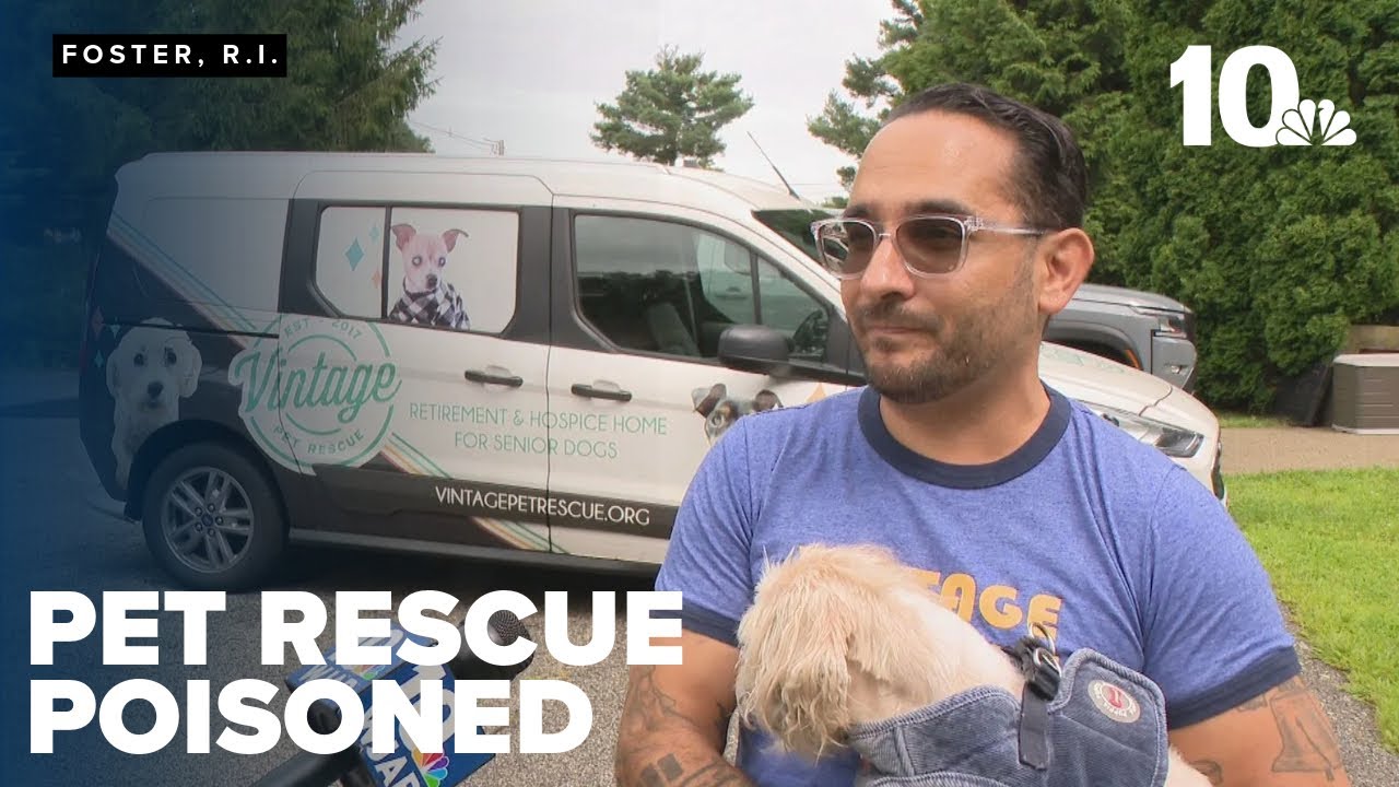 Pet rescue seeks justice after dog ingests rat poison placed on fence