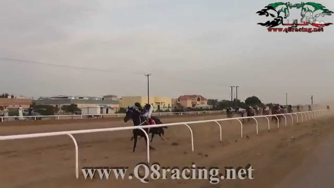 بطل كأس الامير الجواد شايق لسطبل العنزي