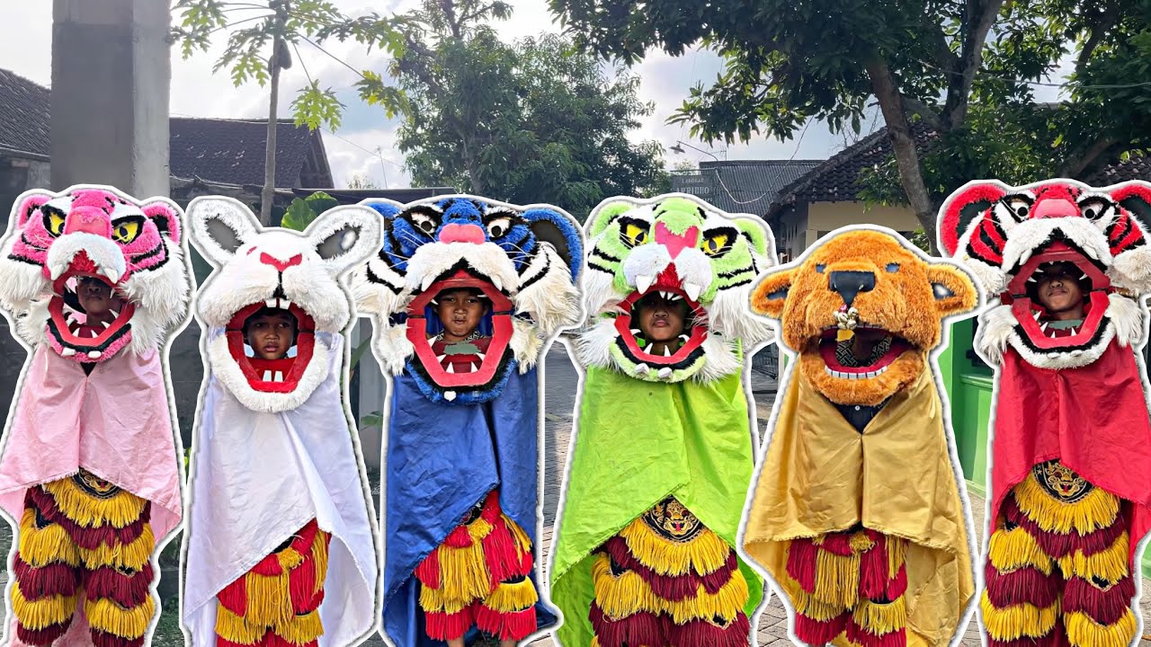 BOCIL BOCIL INI MENGAJAK 6 BARONGAN WARNA WARNI NGABUBURIT DI BELAKANG RUMAH