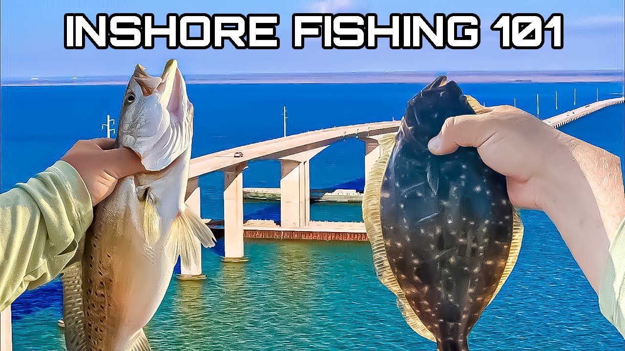 INSHORE FISHING 101 ** How to Catch LIMITS of Fish **