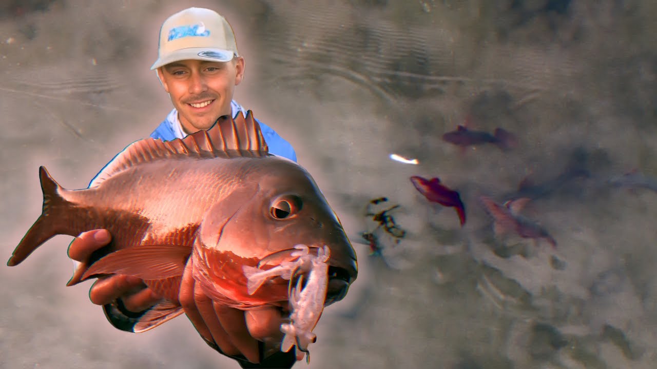 Capturing The Strike | Topwater Mangrove Jack Fishing