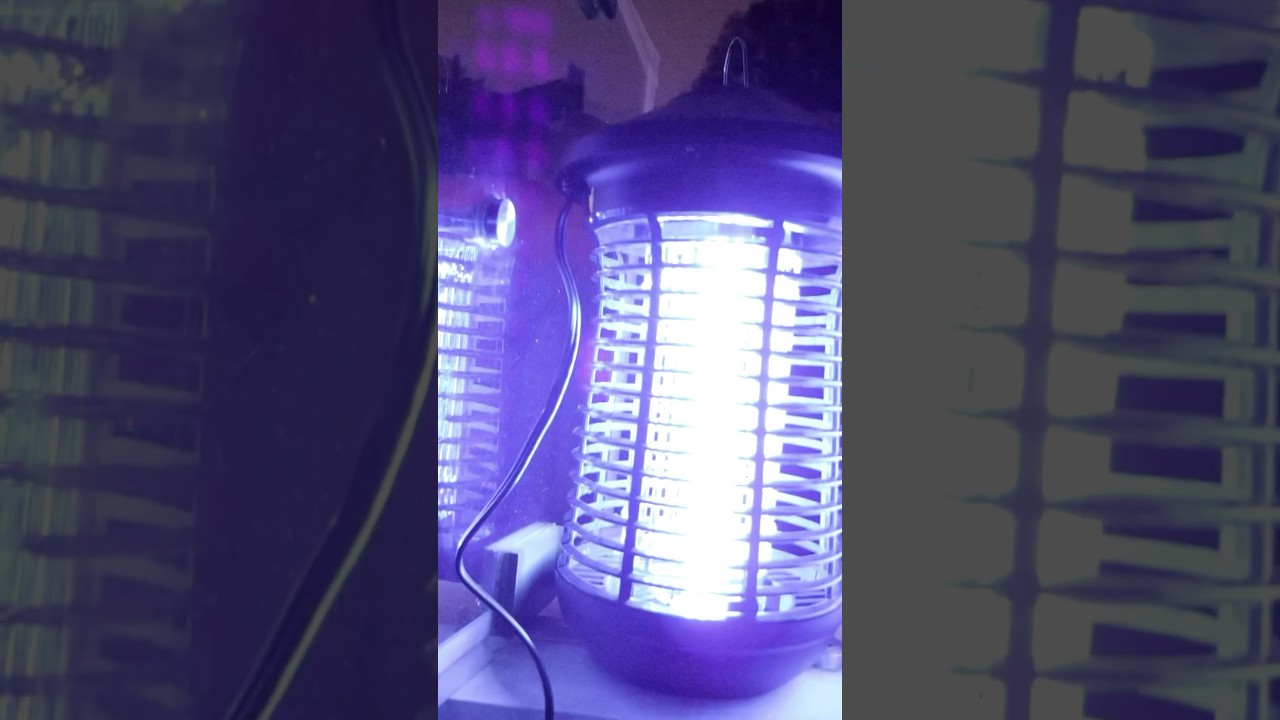 Probando Lámpara Zapper Para Mosquitos