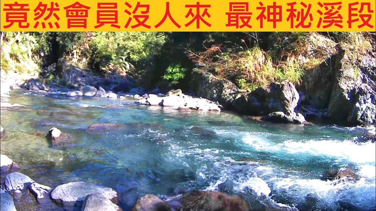 竟然會員沒人來 最神秘溪段 @挑戰過後覺得苦花很多 