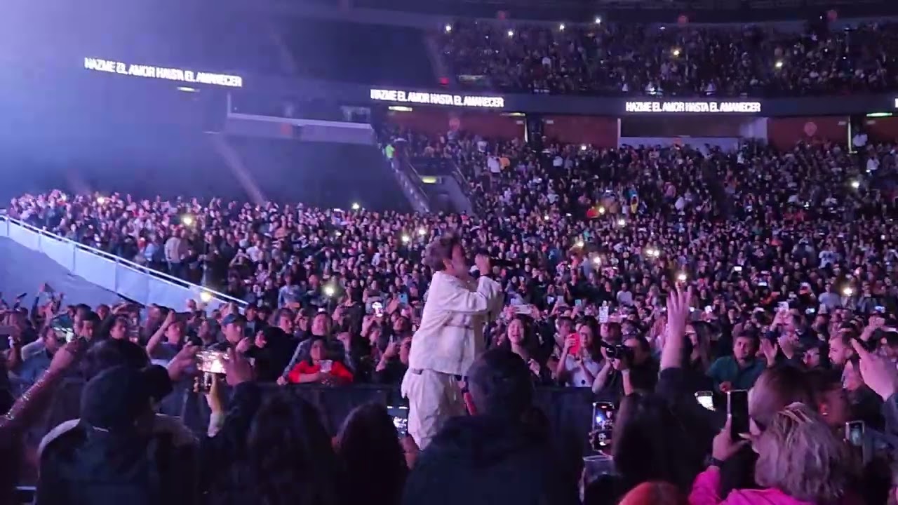 Babasónicos  - Bye Bye - Palacio de los Deportes