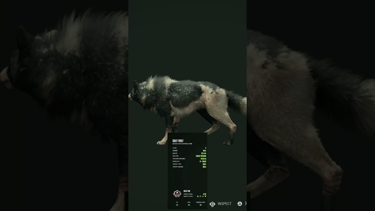 Great one grey wolf number two is a fabled twin soul🥳 