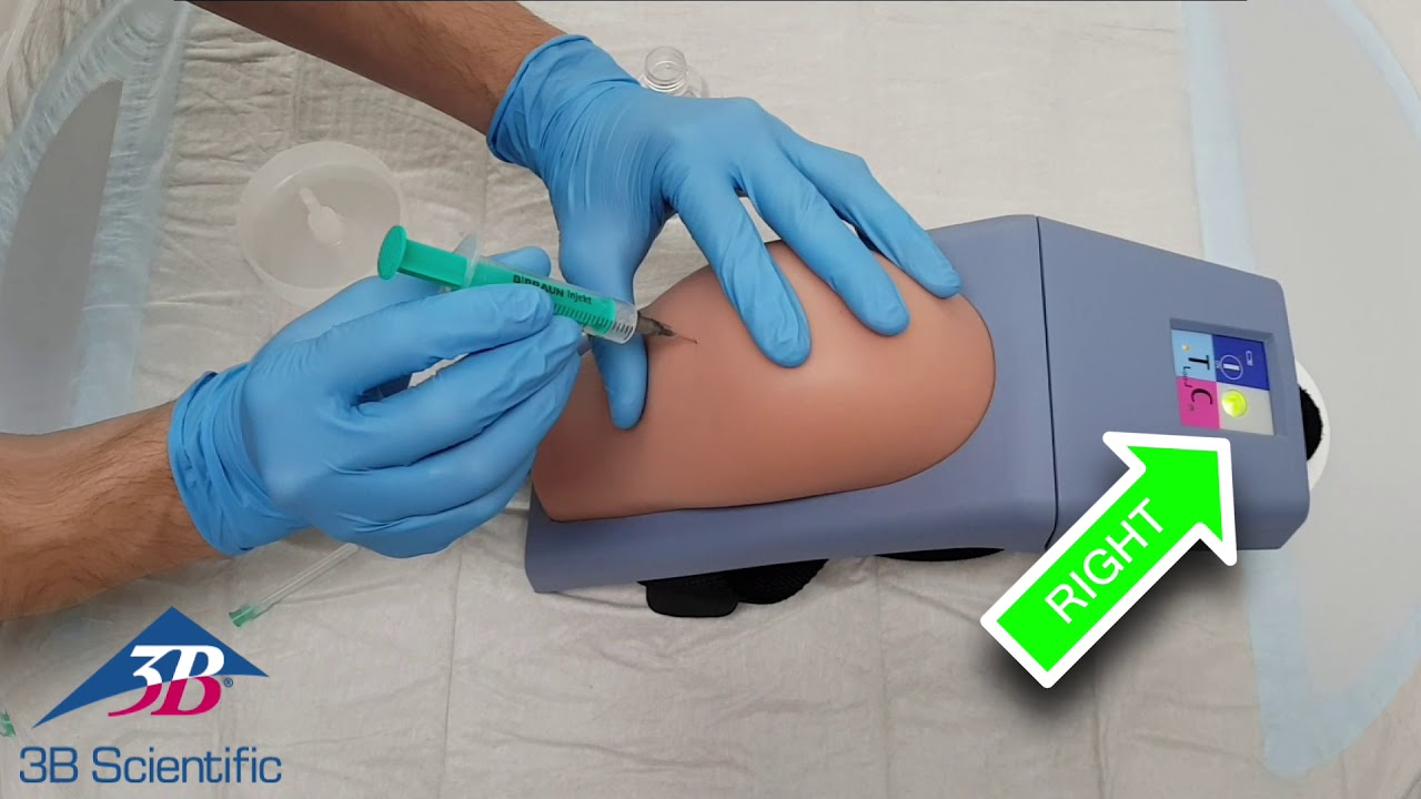 Intramuscular Injection Simulator - Upper Arm