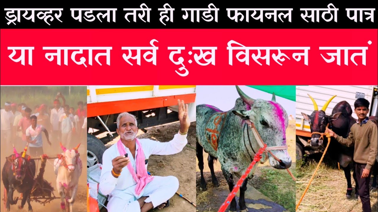 गाडीतून ड्रायव्हर पडला आणि बिना ड्रायव्हरची गाडी फायनल साठी पात्र व्हिडिओ संपूर्ण बघा