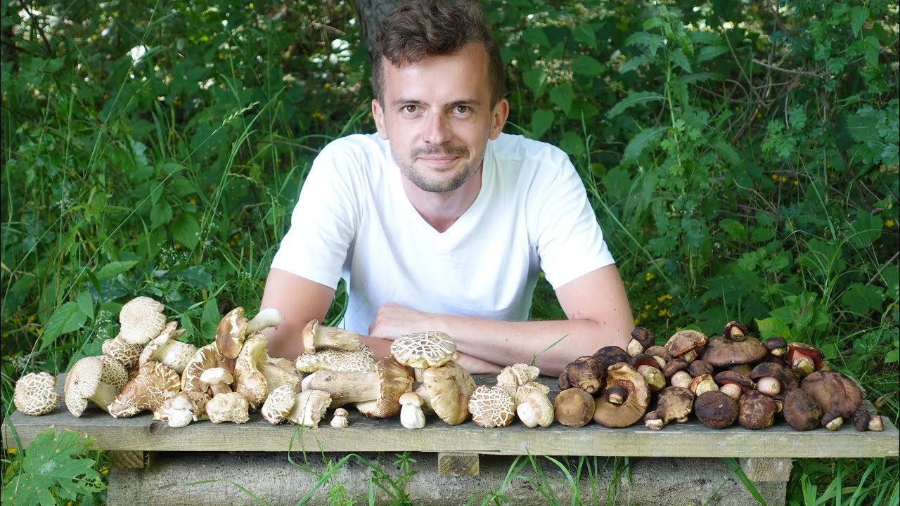 PRAWDZIWKI rozpędzają się mimo upałów