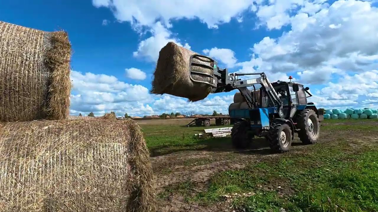 Работаем в полях и на ферме! Заготовили сено- теперь его надо сохранить! Пресс снова в строю! 