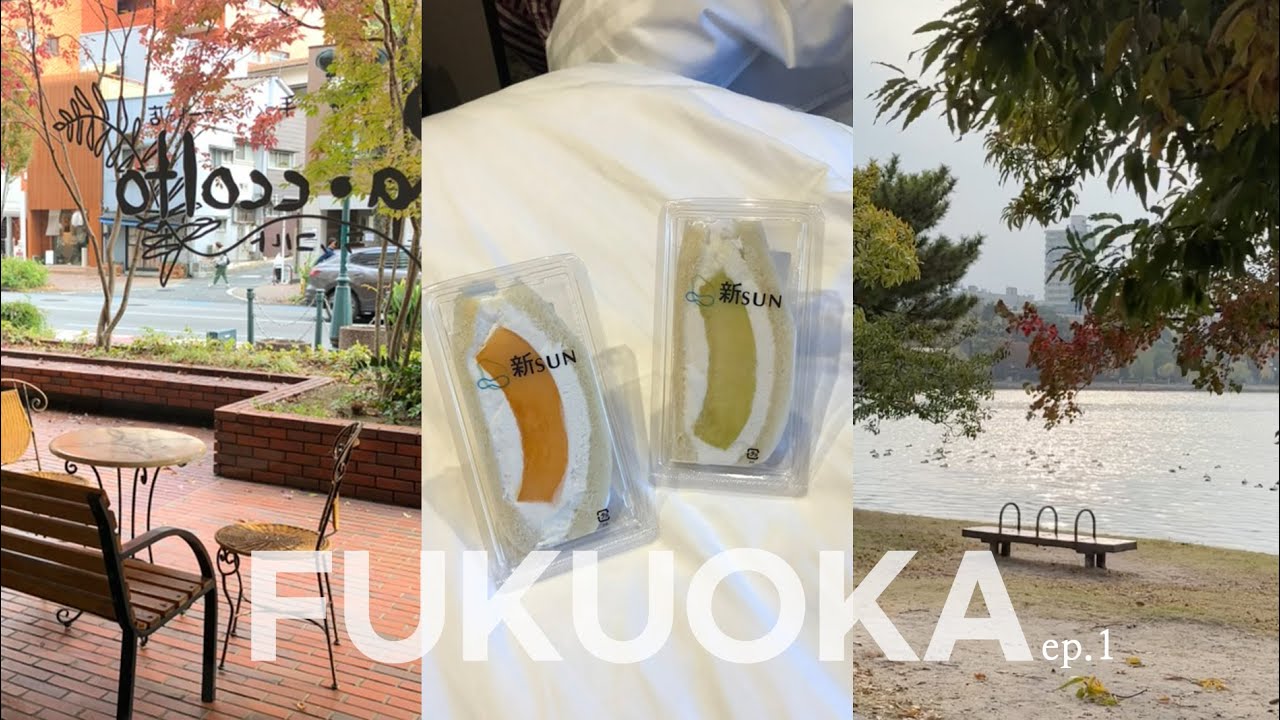 vlogㅣep1.후쿠오카는 초면입니다만? (우동비요리, 라콜토, 오호리공원, 히키니쿠토코메, 텐진중앙공원, 후르츠가든신선, 야키니쿠바쿠로, 캐널시티)