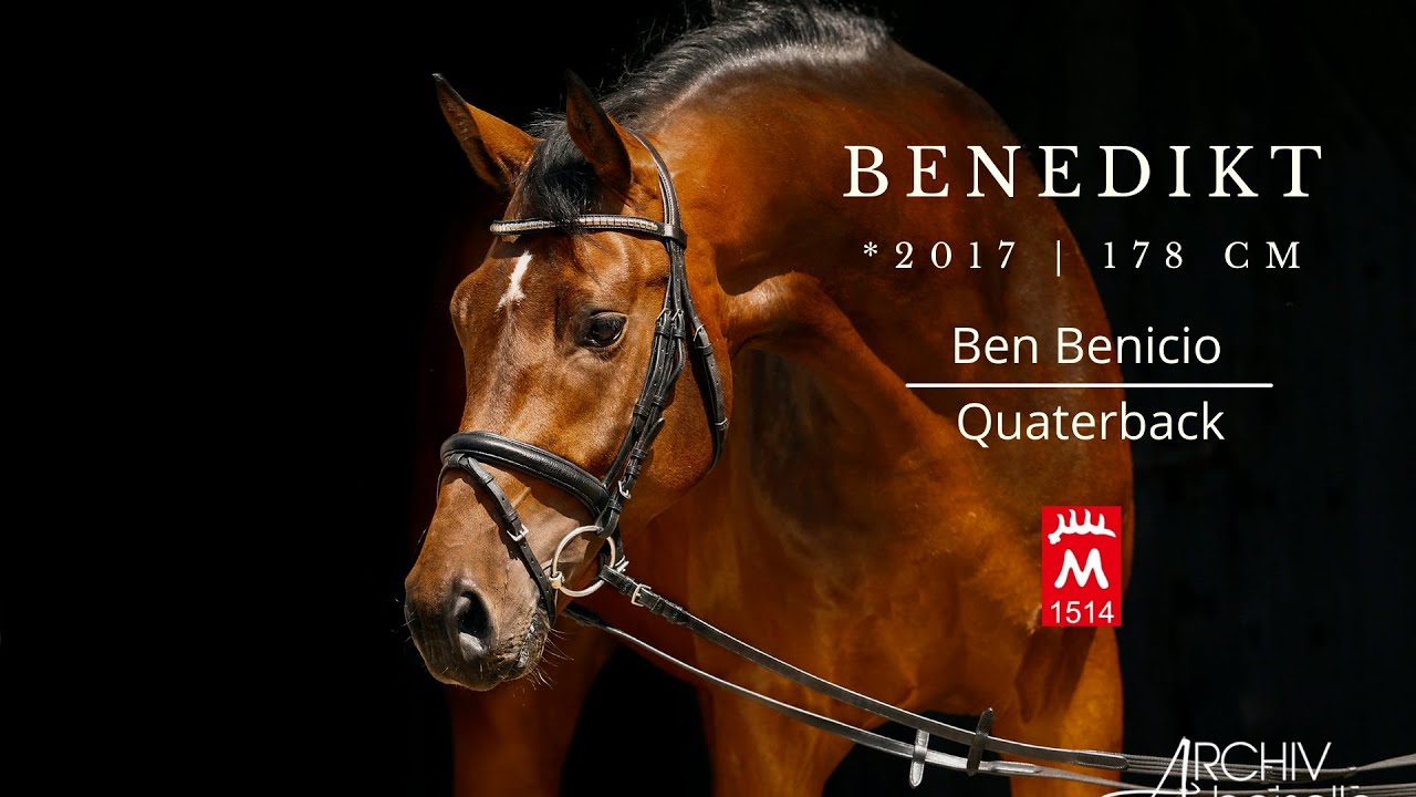 BENEDIKT *2017 v. Ben Benicio - DSP-EH Quaterback