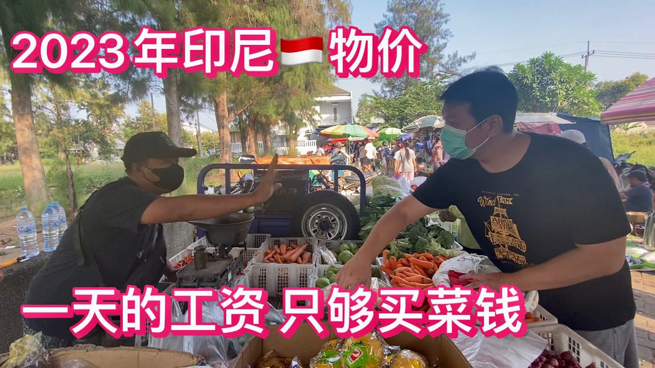 2023年印尼物价太高  普通大学生 一天的工资 只够买菜的 老百姓生活太难