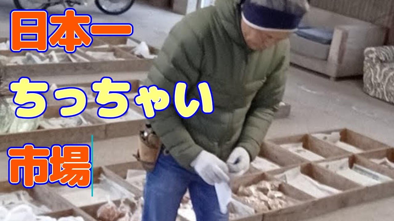 日本一ちっちゃい市場の朝市【高知県いの町】