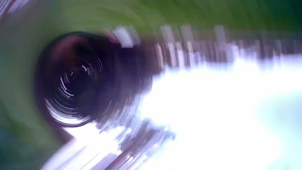 Vespa Cam blooper reel. Camera unclips from the dog and tumbles away as she trots off. 