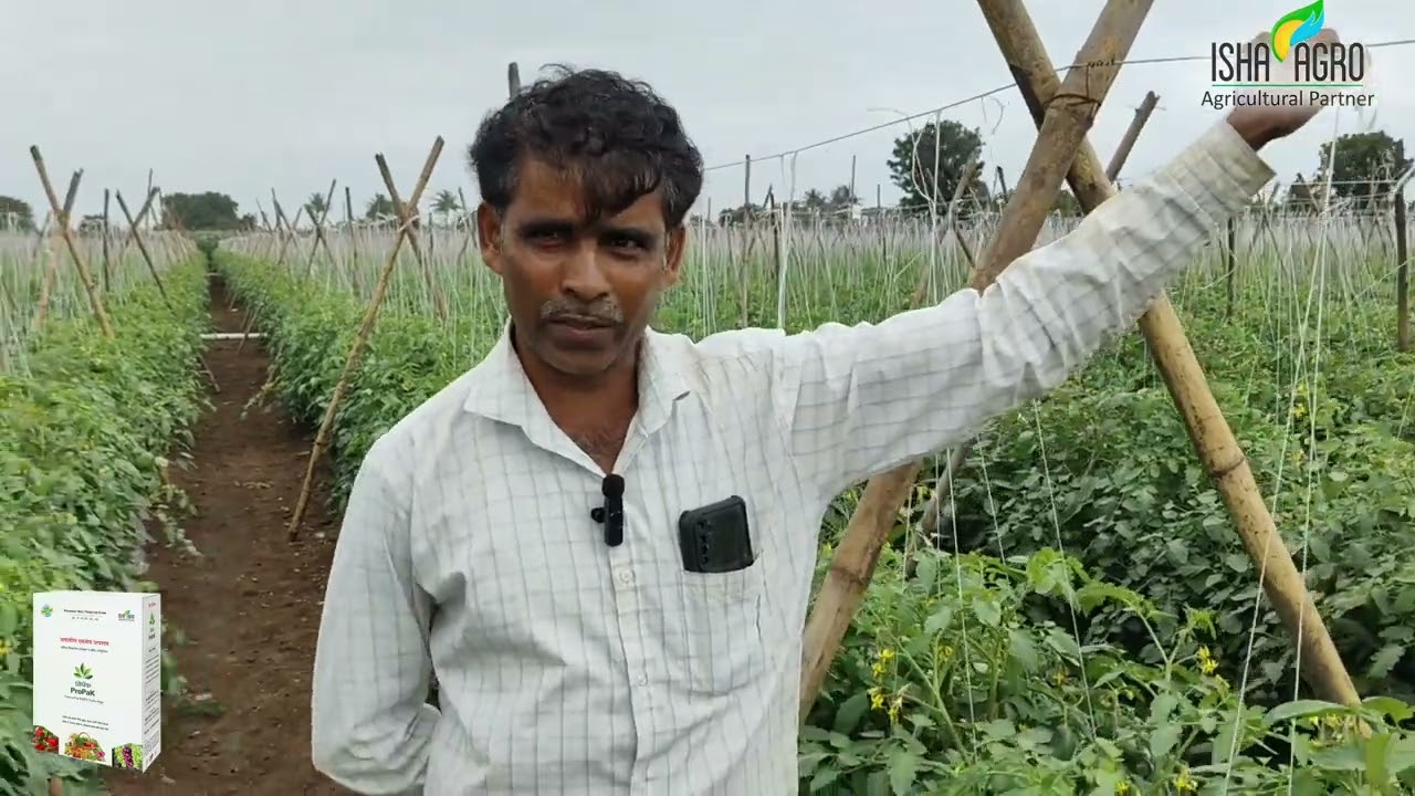 ProPaK Video - Tomato Farmer Nashik