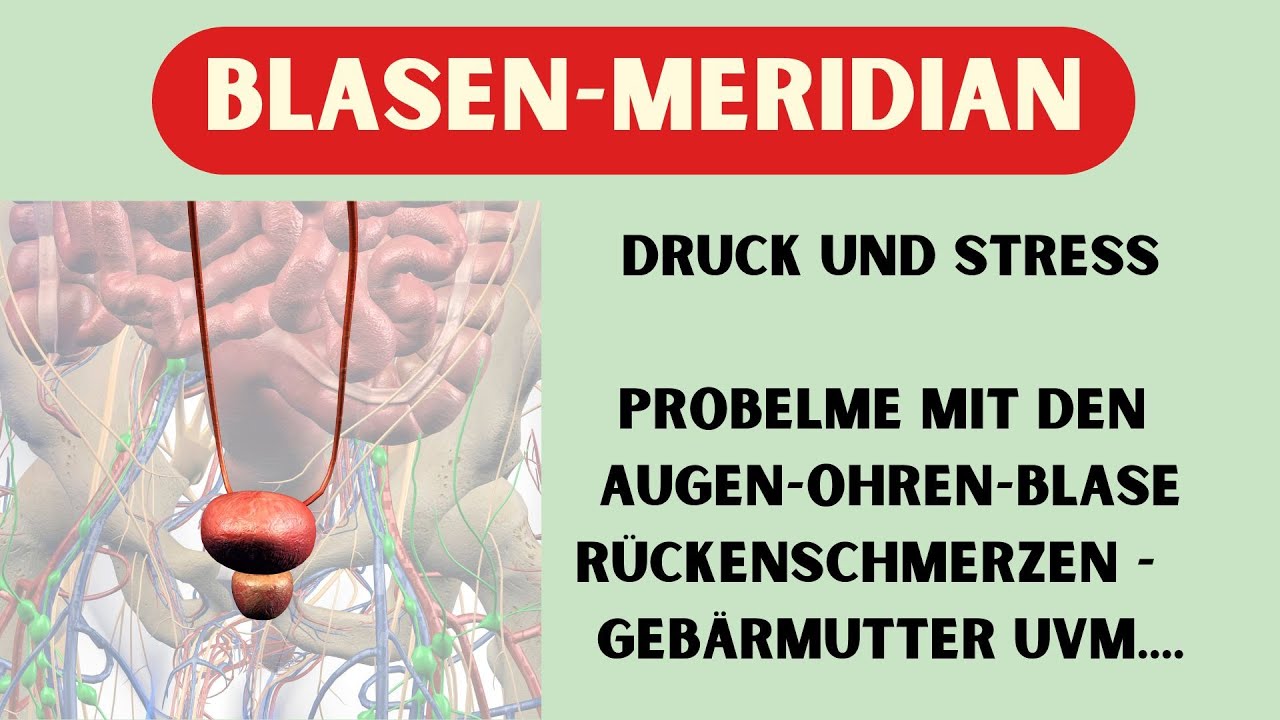 DEIN BLASEN-MERIDIAN - Druck - Stress - Probleme mit dem Rücken - der Blase - der Gebärmutter