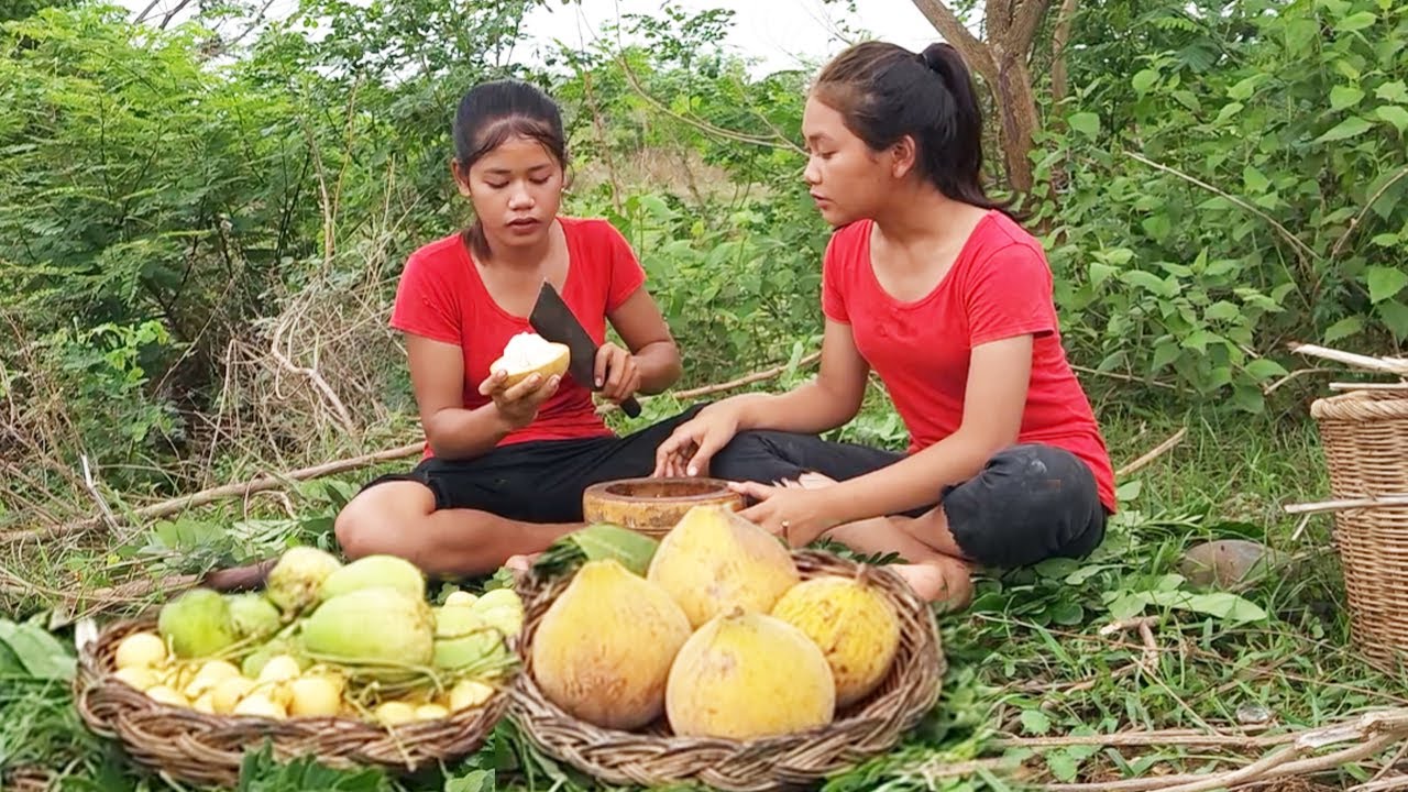 ✅Survival Skills: Harvest fruits and Eating with spicy sause for jungle lunch and more videos