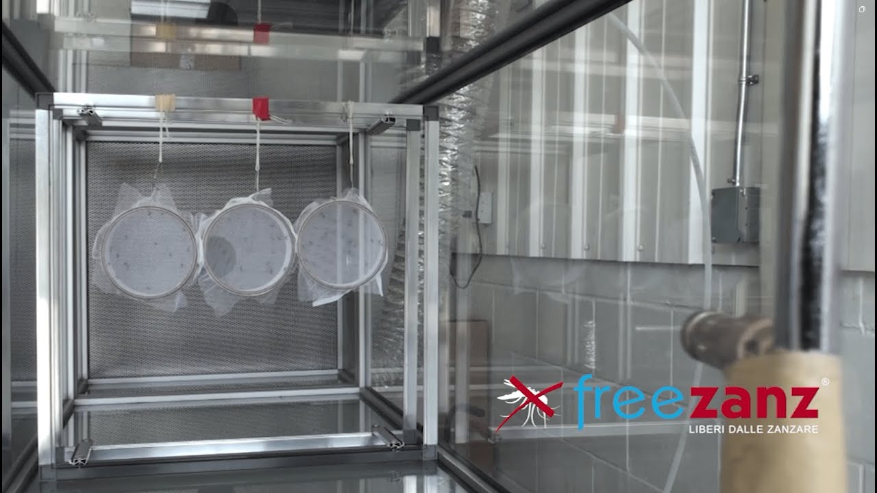 Freezanz: Efficacia scientificamente provata per giardini liberi dalle zanzare