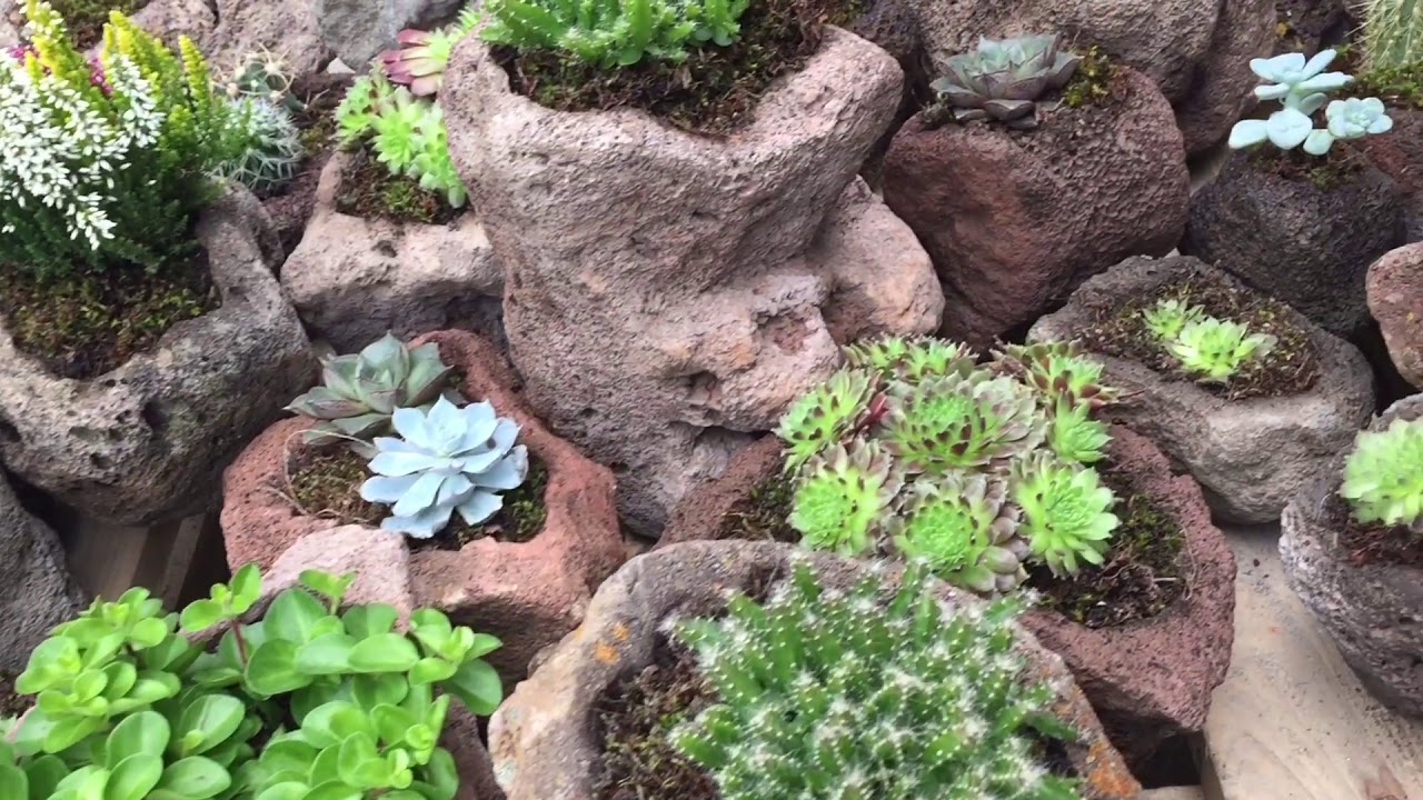 #Blumenk&uuml;bel aus #Lavastein #Naturstein handgemacht Inkl. #Kakteen #Gartenideen