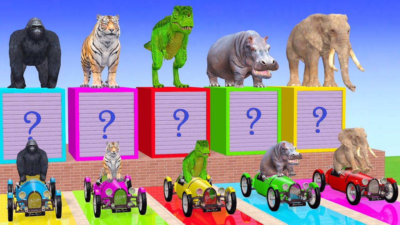 Long Slide Game With Elephant Gorilla Buffalo Hippopotamus Tiger 3d Animal Game Funny 3d Animals