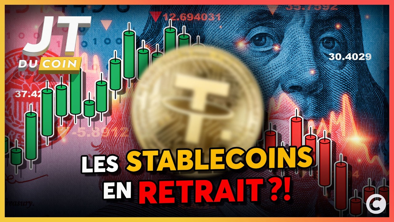 Une premi&egrave;re depuis 2023 : les monnaies stables chutent - Actu crypto 🗞️