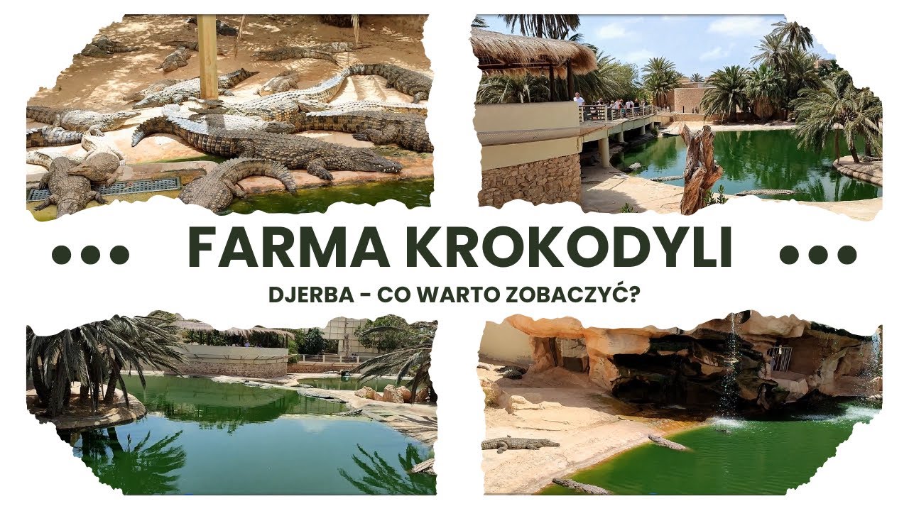 Farma Krokodyli - Djerba Explore Park - Praktyczne informacje / Czy warto odwiedzić?