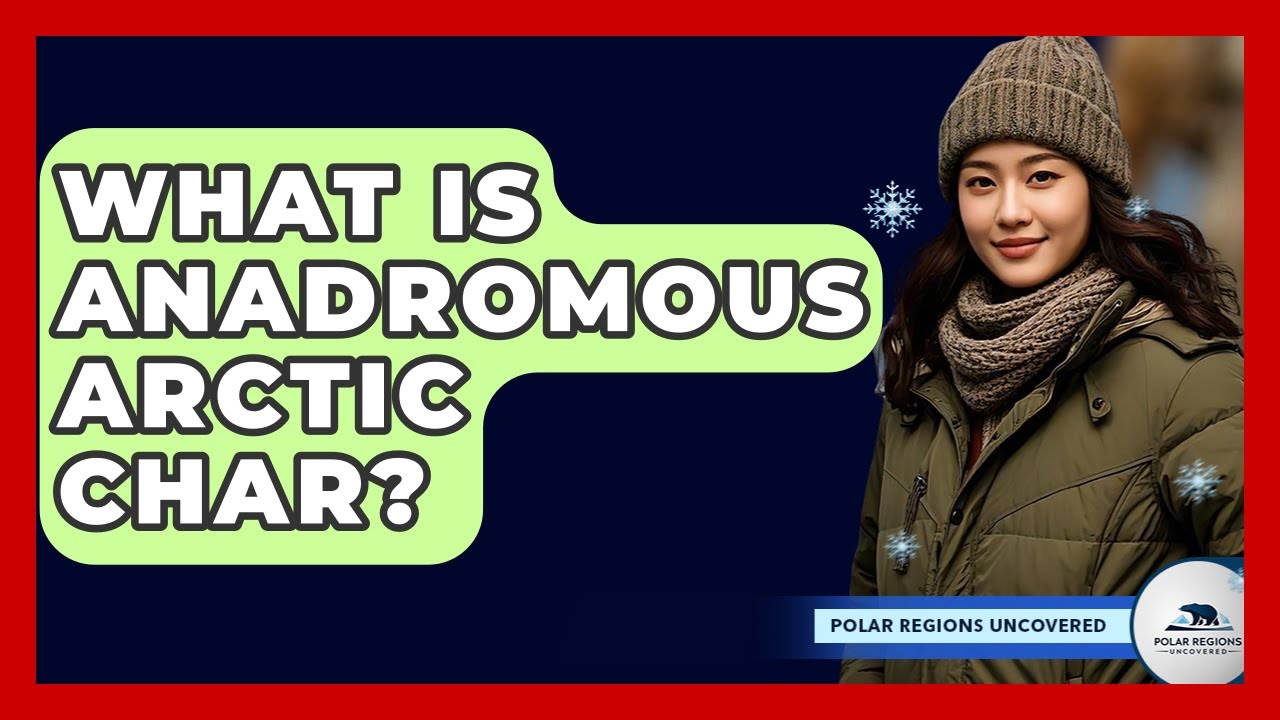 What Is Anadromous Arctic Char? - Polar Regions Uncovered