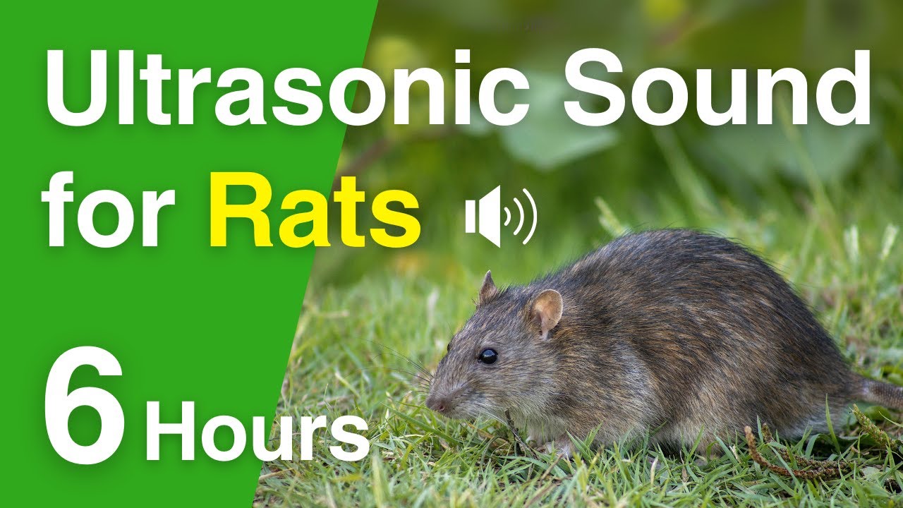 Rat Deterrent | High-Frequency Ultrasonic Sound | 6 Hours