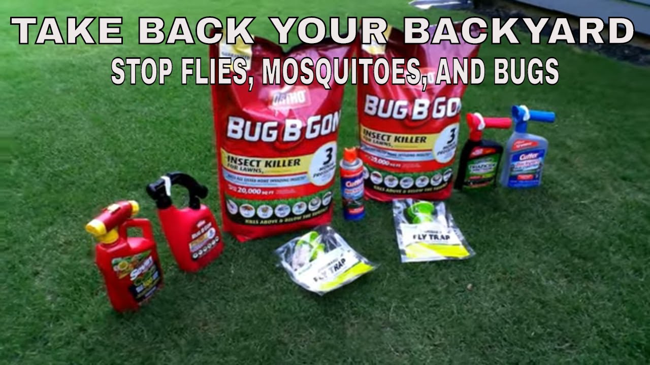 Get rid of flies, mosquitoes, and other bugs